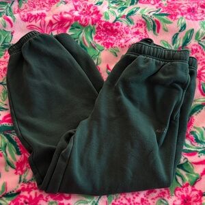 Like New Aritzia Sweatfleece Cozy Fleece Joggers